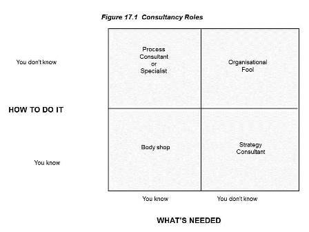 17.1 Consultancy Roles