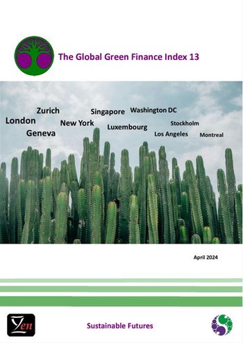 GGFI 13 Supplement Cover