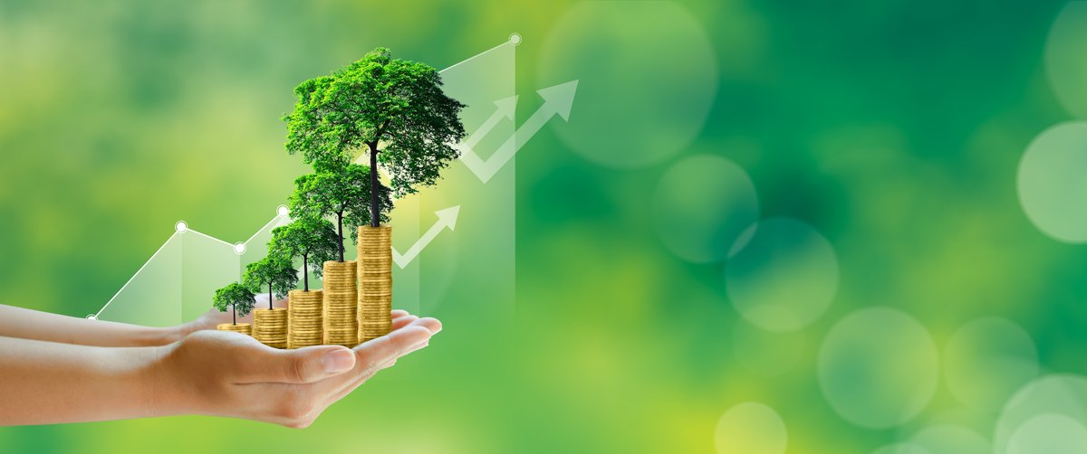 Growth and business success