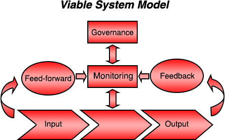 Viable System Model