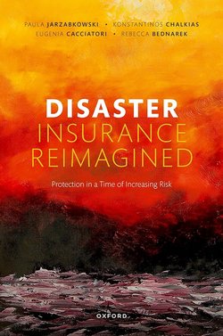 distater insurance reimagined
