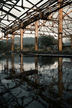 liam-riby-UKEE9AOnm_Y-unsplash