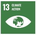 sdg 13